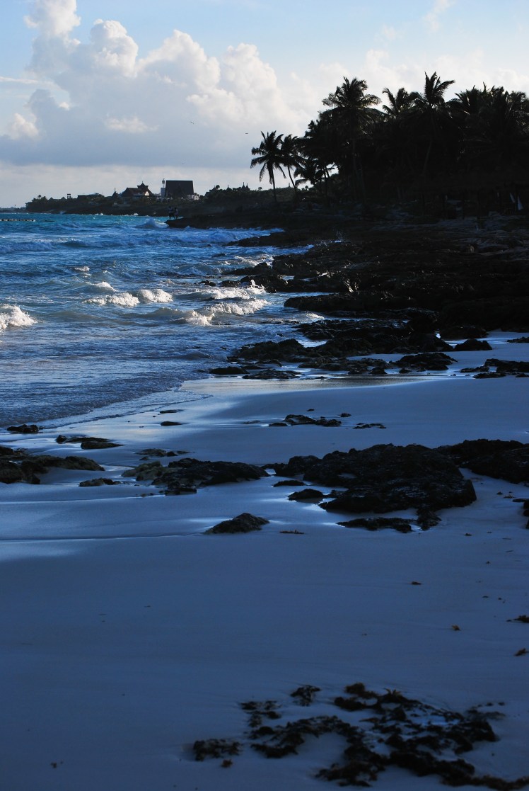 Manifestacja 23.01-12