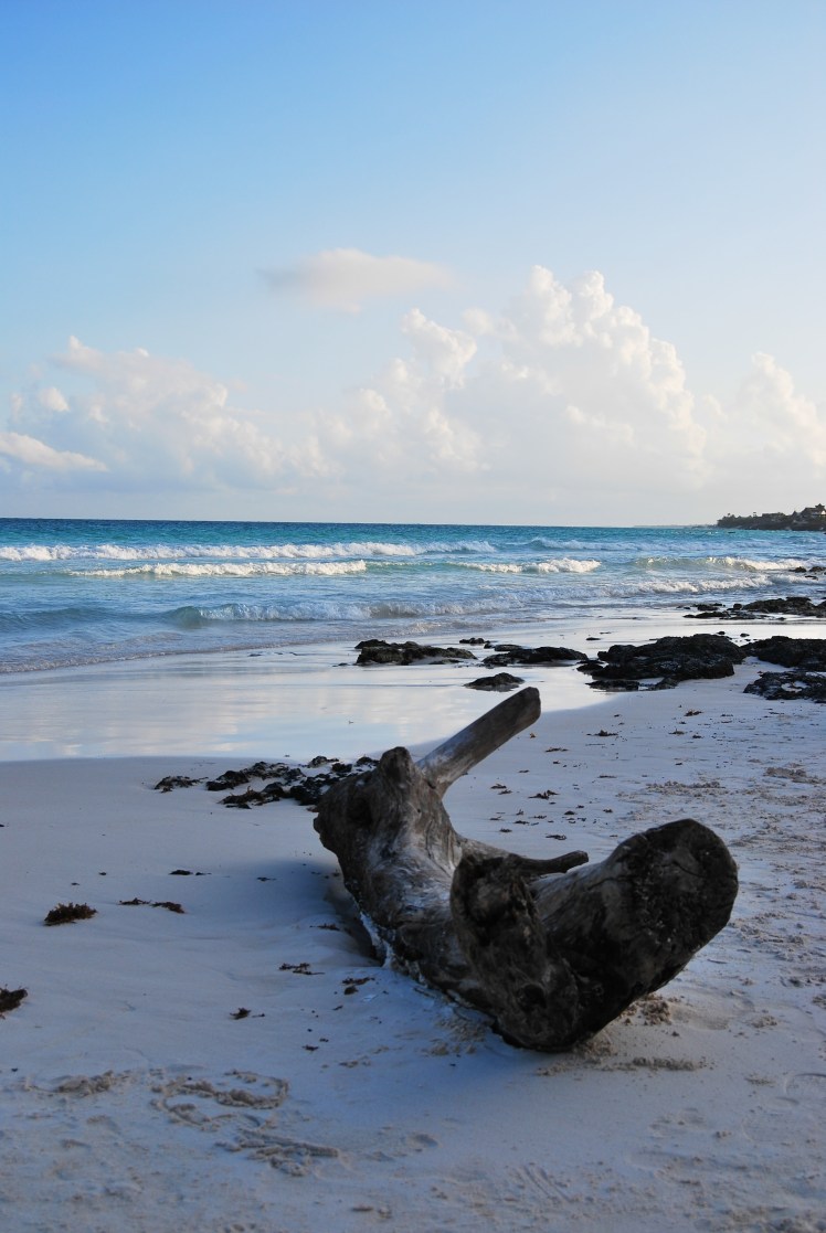 Manifestacja 23.01-16 (1)