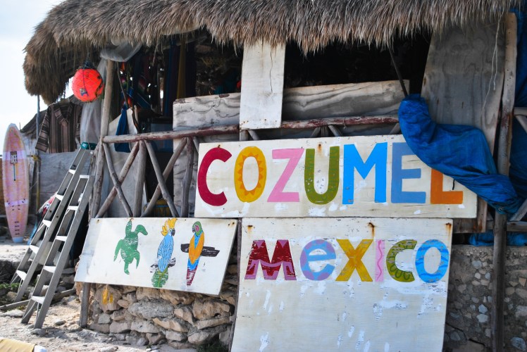 Manifestacja 23.01-261 (1)