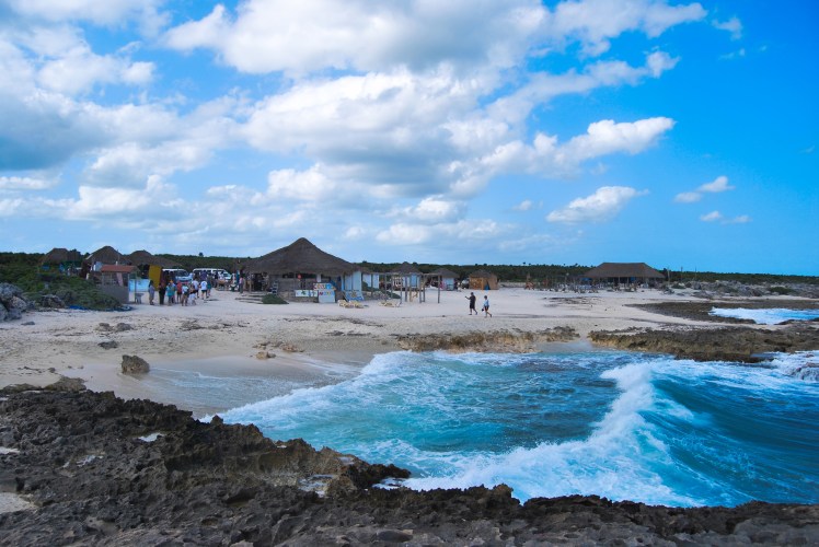 Manifestacja 23.01-264