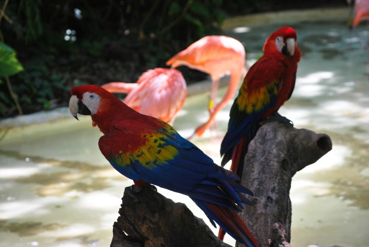 Manifestacja 23.01-292 (1)