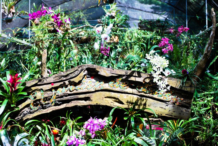 Manifestacja 23.01-308