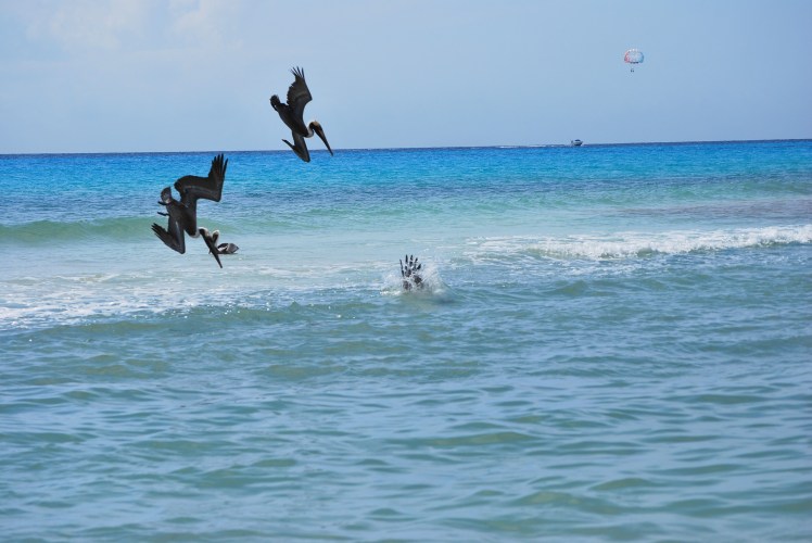 Manifestacja 23.01-4