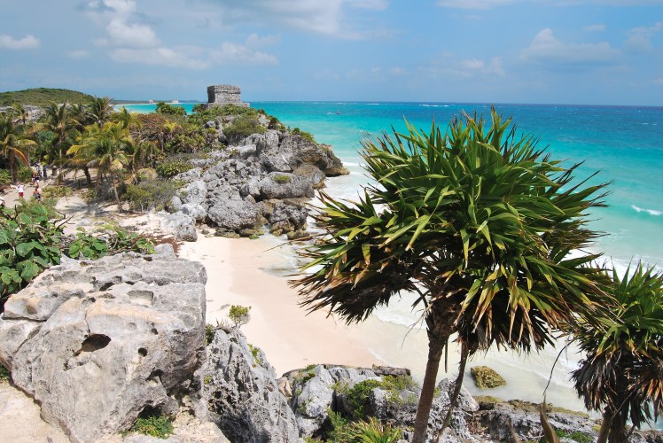 Manifestacja 23.01-50 (1)