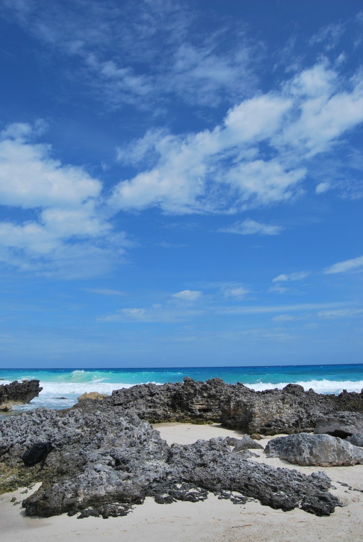 untitled (83 of 838)