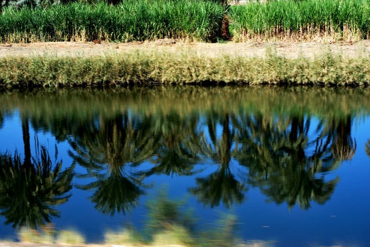 Afryka po raz I wszy 091