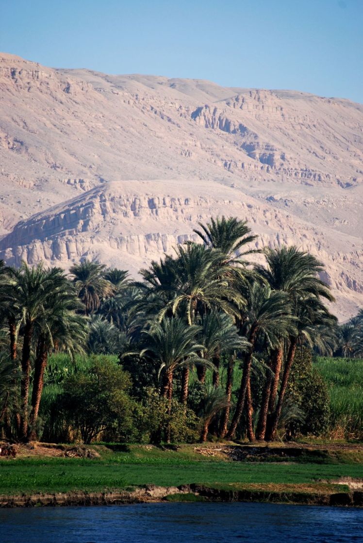 Afryka po raz I wszy 315