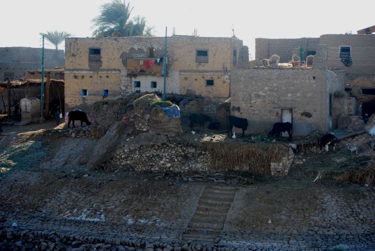 Afryka po raz I wszy 343