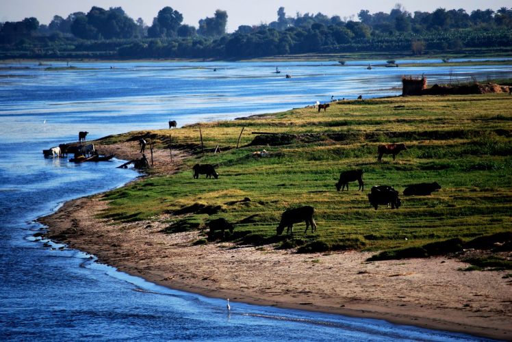 Afryka po raz I wszy 349