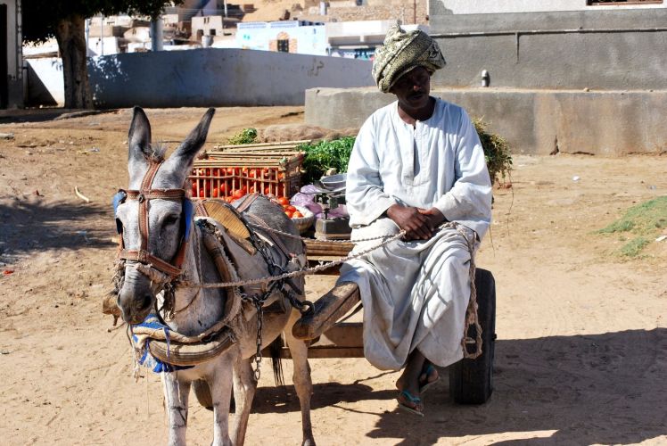 Afryka po raz I wszy 776