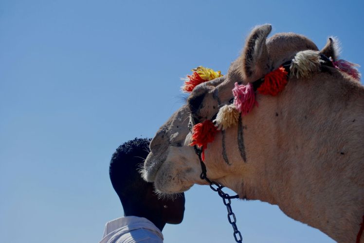 Afryka po raz I wszy 820