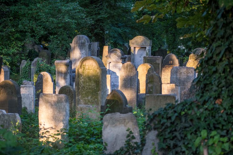 FKZ 2019 Przemiany Żydowskiego Cmentarza_5732