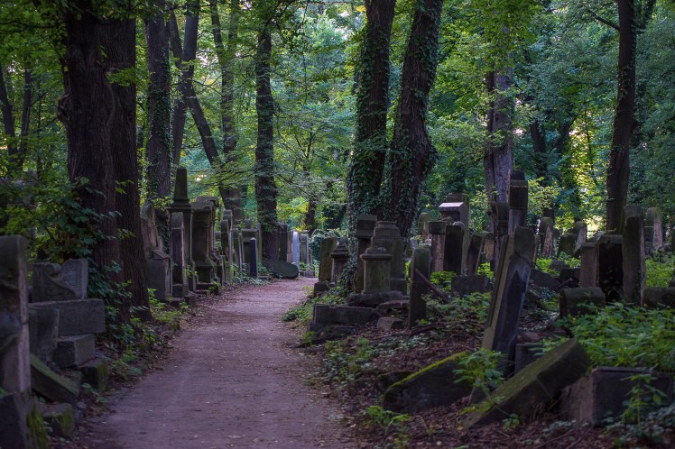 FKZ 2019_Przemiany Żydowskiego Cmentarza_5722